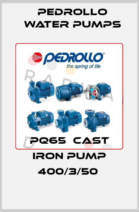 PQ65  CAST IRON PUMP 400/3/50  Pedrollo Water Pumps
