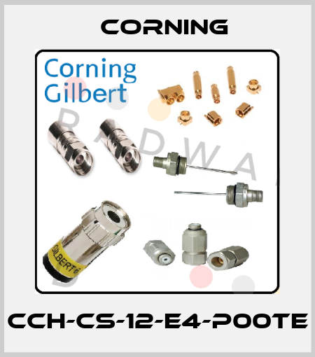 CCH-CS-12-E4-P00TE Corning