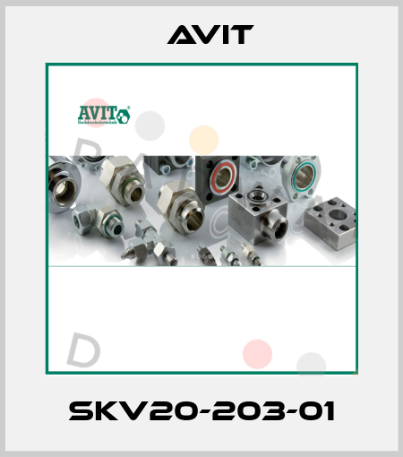SKV20-203-01 Avit