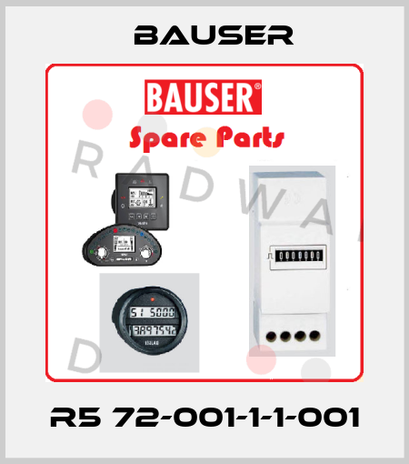 R5 72-001-1-1-001 Bauser