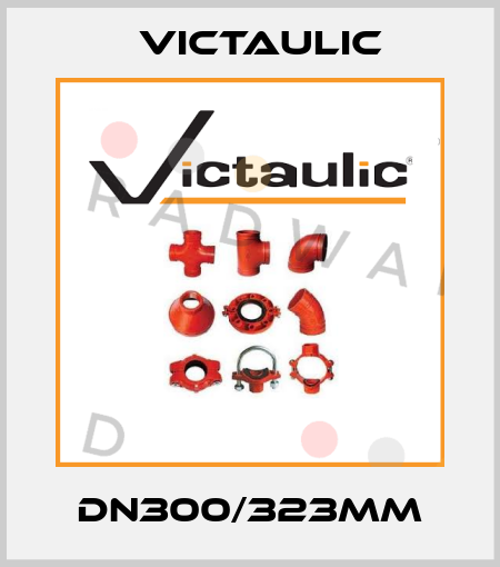 DN300/323mm Victaulic