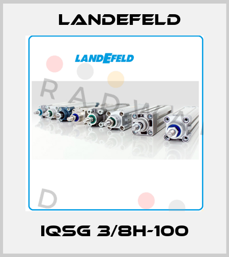 IQSG 3/8H-100 Landefeld