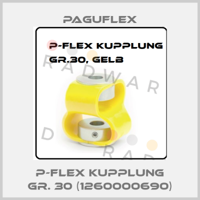 P-Flex Kupplung Gr. 30 (1260000690) Paguflex