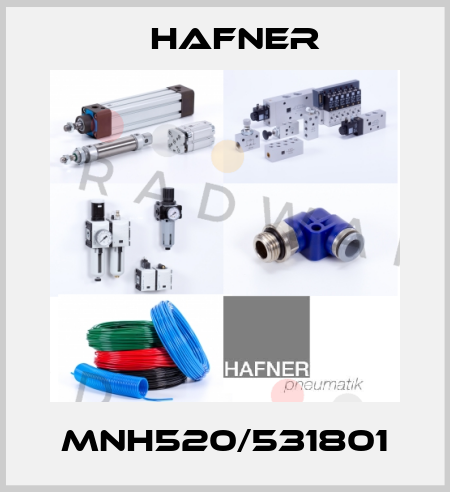 MNH520/531801 Hafner