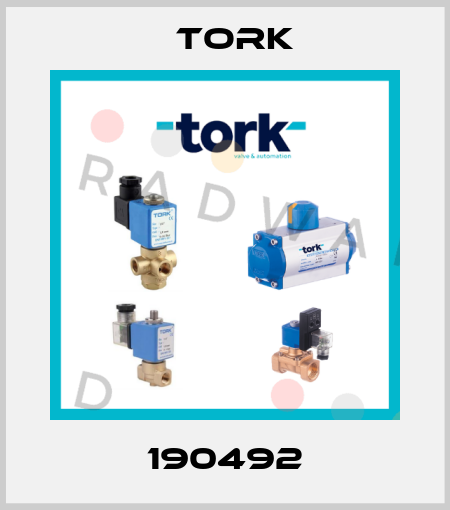 190492 Tork