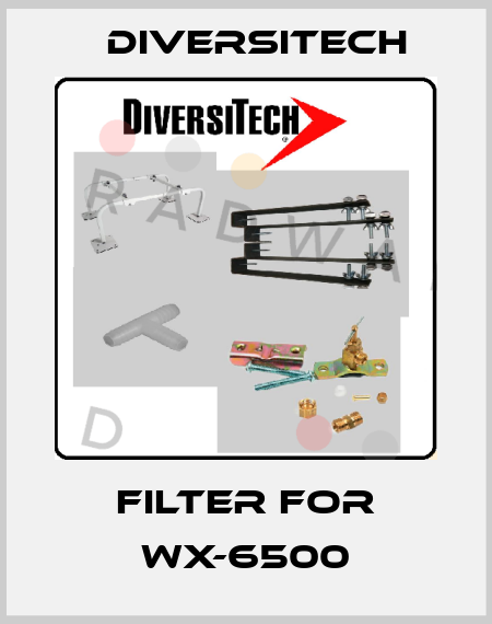 Filter for WX-6500 Diversitech
