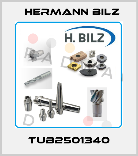 TUB2501340 Hermann Bilz