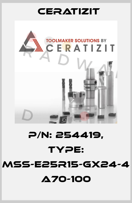 P/N: 254419, Type: MSS-E25R15-GX24-4 A70-100 Ceratizit