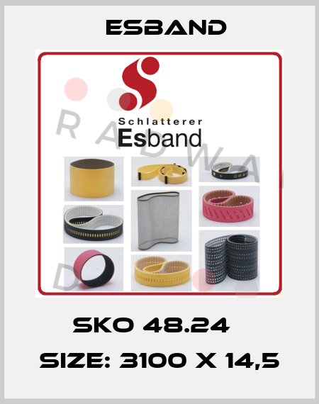 SKO 48.24   Size: 3100 x 14,5 Esband