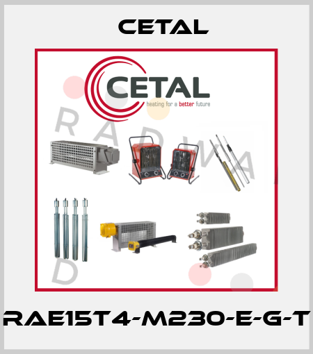 RAE15T4-M230-E-G-T Cetal