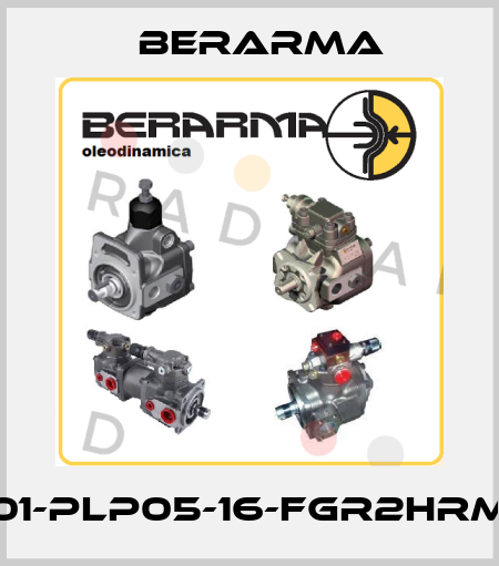 01-PLP05-16-FGR2HRM Berarma