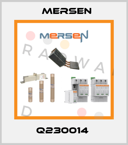 Q230014  Mersen