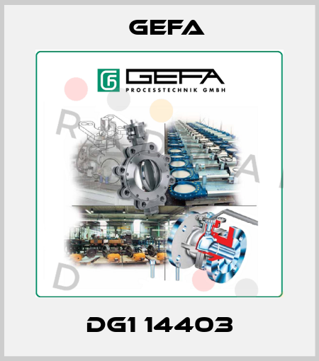 DG1 14403 Gefa