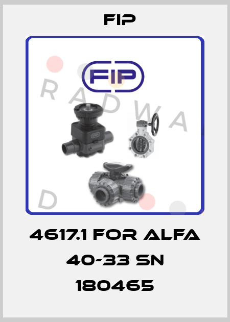 4617.1 for Alfa 40-33 SN 180465 Fip