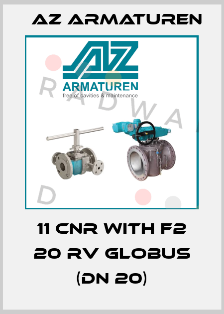 11 CNR with F2 20 RV GLOBUS (DN 20) Az Armaturen
