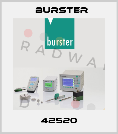 42520 Burster