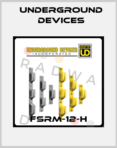 FSRM-12-H Underground Devices