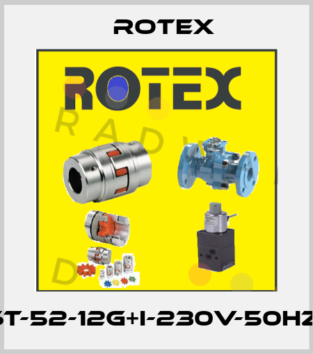 24106T-52-12G+I-230V-50HZ-22-H Rotex