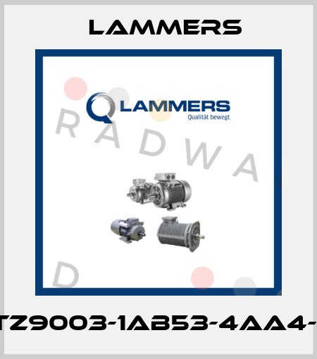 1TZ9003-1AB53-4AA4-Z Lammers