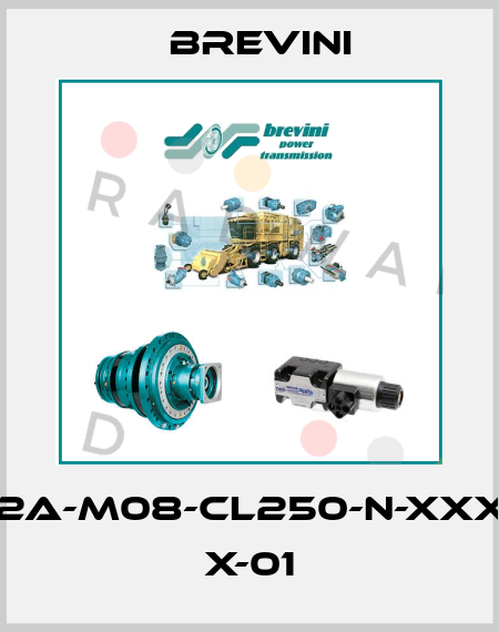 BG-S-160-2A-M08-CL250-N-XXXX-000-XX X-01 Brevini