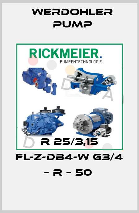 R 25/3,15 FL-Z-DB4-W G3/4 – R – 50  Werdohler Pump