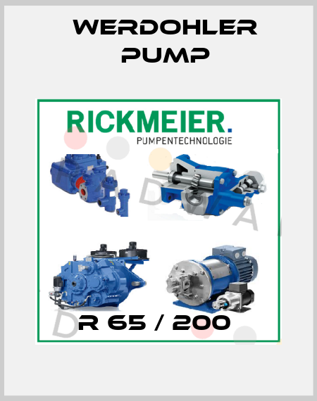 R 65 / 200  Werdohler Pump