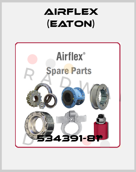 534391-81 Airflex (Eaton)
