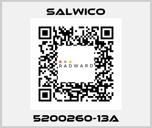 5200260-13A Salwico
