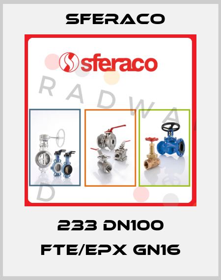 233 DN100 FTE/EPX GN16 Sferaco
