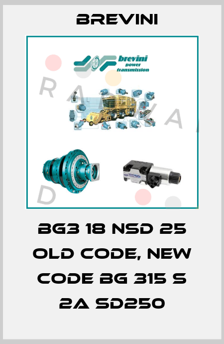 BG3 18 NSD 25 old code, new code BG 315 S 2A SD250 Brevini