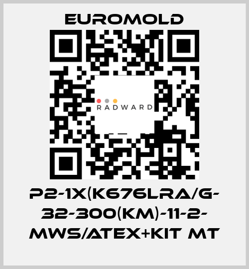 P2-1x(K676LRA/G- 32-300(KM)-11-2- MWS/ATEX+KIT MT EUROMOLD