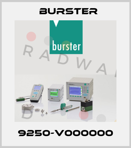 9250-V000000 Burster
