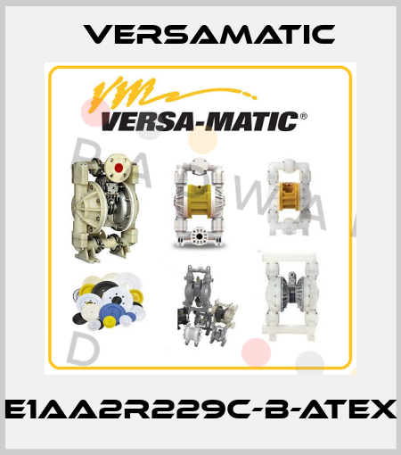 E1AA2R229C-B-ATEX VersaMatic