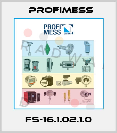 FS-16.1.02.1.0 Profimess