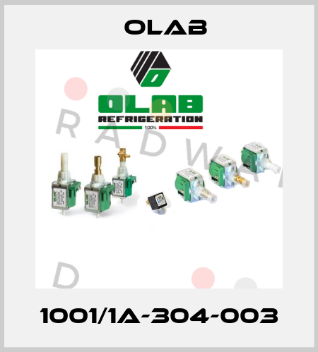 1001/1A-304-003 Olab
