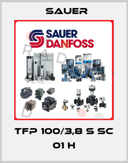 TFP 100/3,8 S SC 01 H Sauer