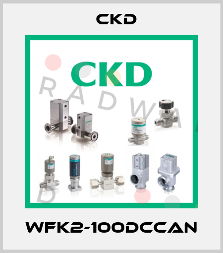WFK2-100DCCAN Ckd