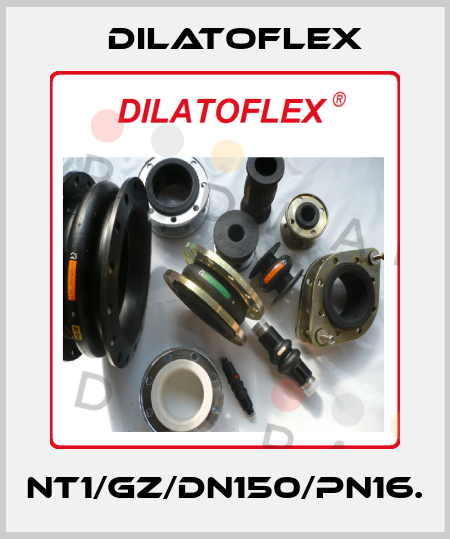NT1/GZ/DN150/PN16. DILATOFLEX