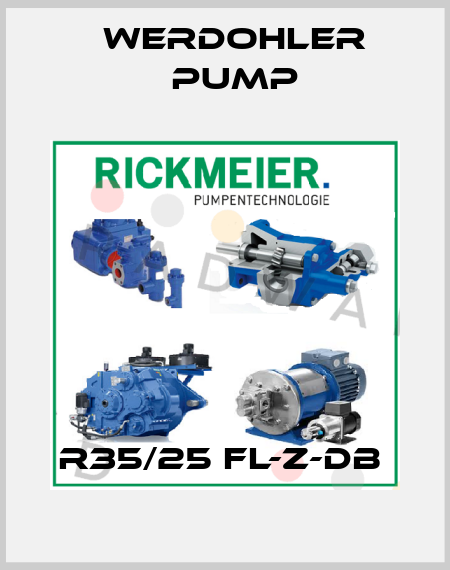 R35/25 FL-Z-DB  Werdohler Pump