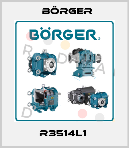 R3514L1  Börger