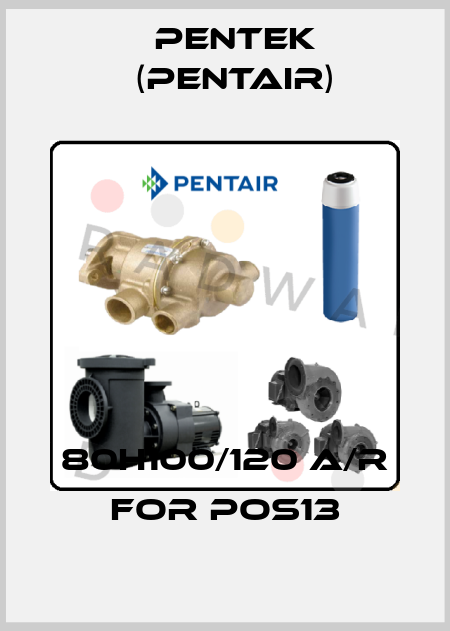 80H100/120 A/R for pos13 Pentek (Pentair)