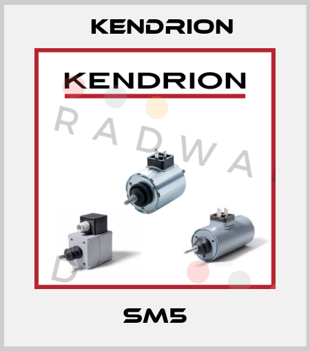 SM5 Kendrion