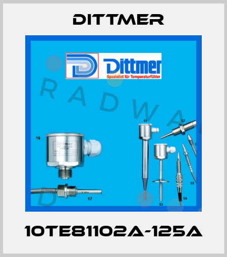 10TE81102A-125A Dittmer