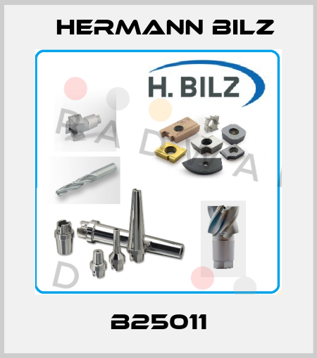 B25011 Hermann Bilz