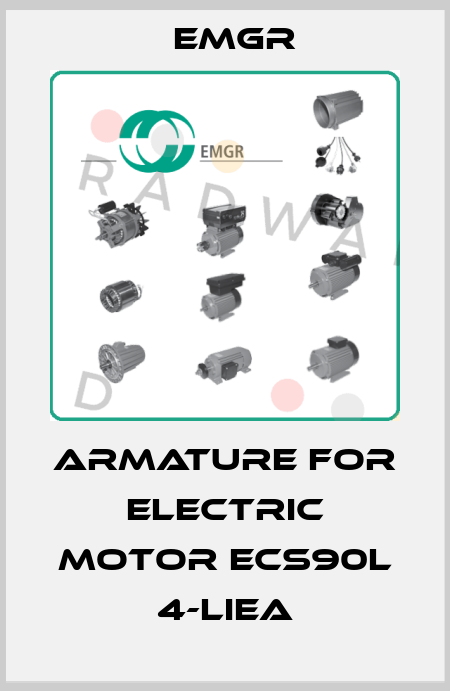 armature for electric motor ECS90L 4-LIEA EMGR