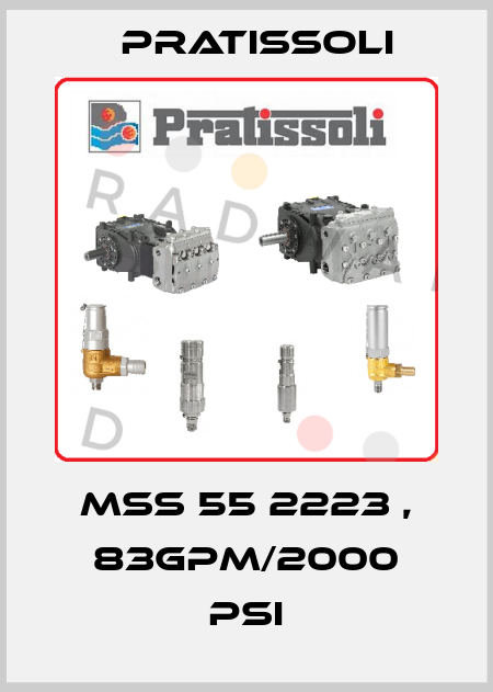 MSS 55 2223 , 83GPM/2000 PSI Pratissoli