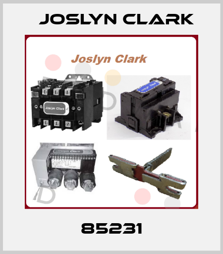 85231 Joslyn Clark