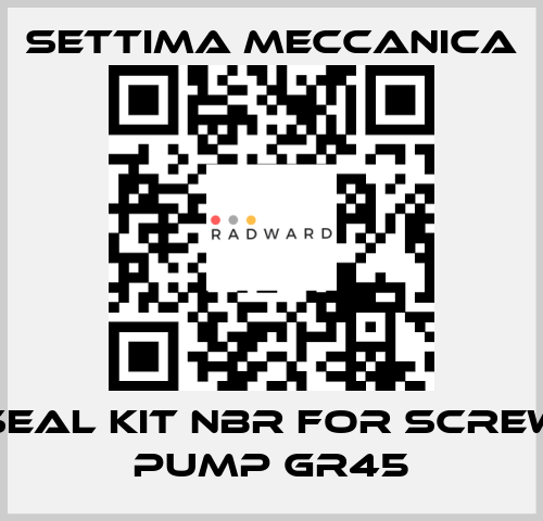 SEAL KIT NBR FOR SCREW PUMP GR45 Settima Meccanica