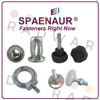 317-411 SPAENAUR