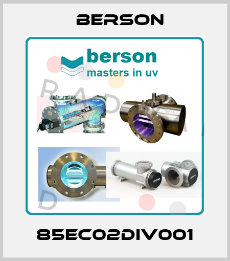 85EC02DIV001 Berson